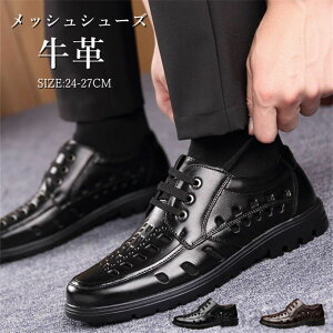 rWlXV[Y Y bVV[Y {v vC tėp ʋ ItBX T_^Cv JWA AEghA EH[LO Ȃ 芴Q Vvŕ₷U[ʋC