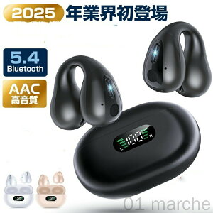 CXCz C[Jt ǂȂ Bluetooth 5.4 u[gD[X Cz cʕ\Ή `Cz uڑ 65ԘAĐ Type]C[d I[vC[^  Ȃ璮