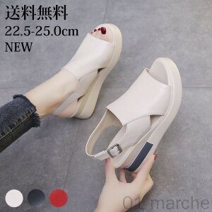 T_ fB[X r EFbW\[  x[W  Xgbvt ~ZX C ₷ Ȃ ɂȂ JWA  ėp X|[cT_ RtH[gV[Y