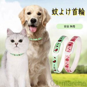 ybgh 悯 p Lp VRz AR Ꮬ΍ tđΉ ^ ^ ^ ybgpi h݌v EȒP m~_j΍pi ᏜʔQ