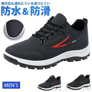 Xj[J[ Y h J  y Jp jp hV[Y  ʋ ʊw EH[LOV[Y JWAV[Y ^C WMO  yfUC