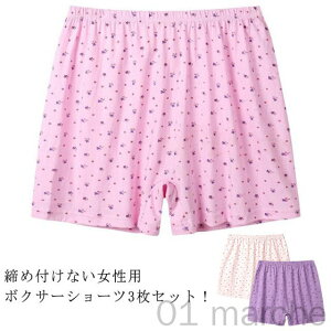 nCEFXg {NT[V[c Rbg 3_Zbg Zbg nCEFXg 3 Mtg ԕ {NT[pc  p gNXV[c fB[X [΂ E₷  40 50