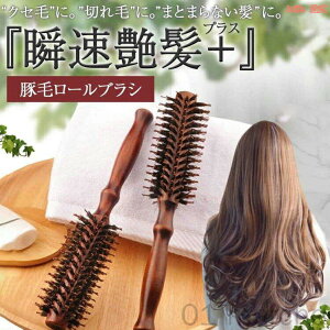 wAuV ؖ   [uV J[uV u[uV wAZbg  O RX e wAPA u^Q XgX }bT[W ɗDiuVŔd