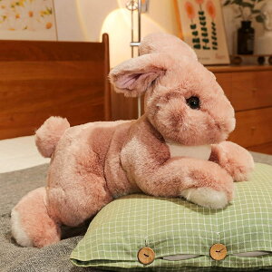 ETMʂ ܂ D YQ v[g    ʂ Aj} Q NbV    ItBX  GObY \t@[ 