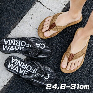 r[`T_ Y   gOT_ ɂȂ 킢 ₷ y r[T t@bV V[T_ x_T_  XbpT_ ~