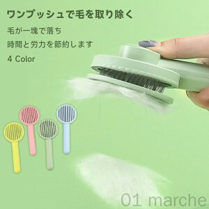 eR[ Zїp L m~ ыʎ юN[i[ ybguV ybgpR[   ybgpi co lC m~ O[~O ybgObY Lp