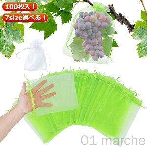 ʋC h  |pi 100 At[cیobO hlbg hlbg ʎp ʎ Q΍ K[fjOpi  ʕیlbg bV bVobO ʕیob