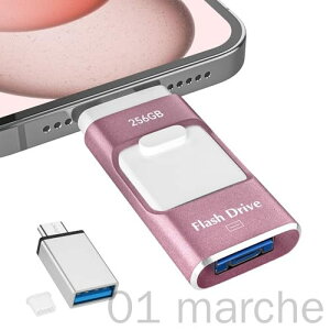 USB 256GB Avsv Aoʐ^ۑ 4in1 iPhoneΉ X}z f[^ۑ Ot USB iOS Type-C USB Micro USB e tbV f[^obNAbv OtXg[