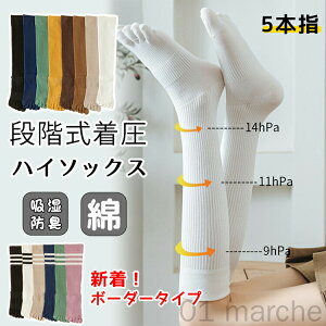 \bNX 5{w VFCv\bNX nC\bNX C fB[X Y tďH~ ȍ g ₦Ƃ d˗ hL X|[c n {[_[ Jt  p jp 