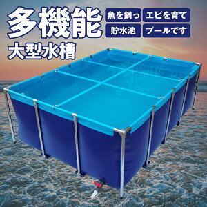 ^ `v[ ^{Bpv[ LoX̂r 傫 N^Ot[v[ ̗{r ܂肽ݔz uPdl ϋvQ \ Y{B