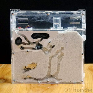 ALbg t ঒ގP[X ȃώ@Lbg apP[X AZbg SҌώ@pZbgňS̎