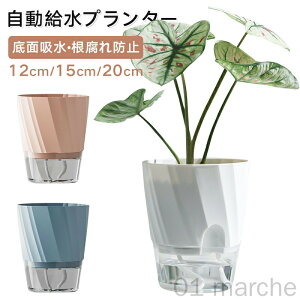 自動給水 植木鉢 底面吸水 プランター 水耕栽培 観葉植物 多肉植物 ハーブ サボテン 室内 屋外 インテリア おしゃれ 家庭園芸 初心者 枯らさない 水やり簡単 根腐れ防止 ベランダ ガーデニン