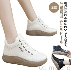 O  ꂸ ₷   ʋ ʊw JWA fB[X 3.5q[ nCJbgXj[J[ RtH[gV[Y ꂷۂ C o| Xj[J[