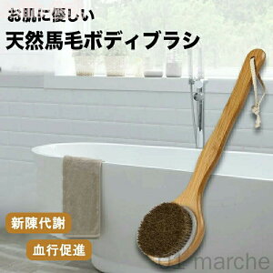 uV n Cp g̐􂢃uV O Sgp si p Ђt A ь VR  Ђ̂  wuV wjLr hV̓ ̓Mtg v[gp ɍ