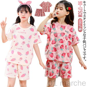 䕃pW} q [EFA xr[  C`S ㉺Zbg ̎q WjA LbY TVc  V[gpc ėp 100 90-170 ZbgAbv 킢  