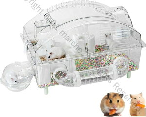 nX^[ P[W P[W Zbg SʃNA  ₷ gbvhA ȒP Eoɂ ʋCǂ K L {g я gl 񂵎 Vя܂7_Zbg 2K