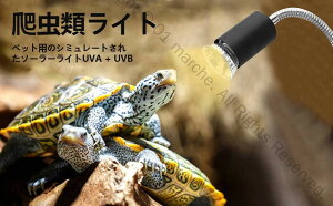 NbvCg TCg ޗpCg ঒ރCg T pq[^[ iK 75W 50W AiO z MшMёΉ oXLOCg2t ۉd OCg UVA+UVB 360°