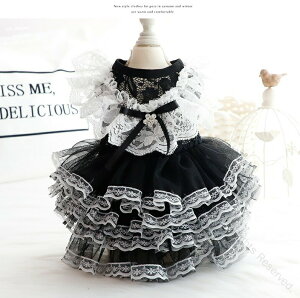 s[X XJ[g hX [X Pl ̕ tďHΉ Ȃ {t [X Lm ybg ^p 