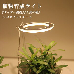 A琬Cg LED z X^h A琬Cg ϗtA琬 k͔| ͔|Cg ^C}[ ⑫ ^C~O@\ ƕs X^h ؉ | ͔| ȃGl USBd 