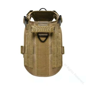 ToCoQ[ ToQ[ ߑ ToCoObY ^ ^ ʋ p OΉ [ ^NeBJxXg ʕ X|[cp NCbN[X ^obN pXgbvtx