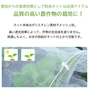 hlbg Qlbg 悯lbg v^[ ƒ؉  x_ nEX Q΍ Nh~ HQ\h TCY y  ʕ gl͔| ׂ _ | ͔|p h 