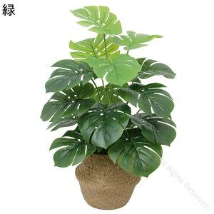 ~j CeAO[ 18{ 70cm  ϗtA 킢 tFCNO[ lHϗtA ܂邢 G} O[ [J  ҂݃|bg ItBX̏ rO[ɍœK