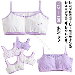 100WjAuW[4Zbg uW[4 WjA w wpugbv X|[cu ̎qpRbg pbhȂ qǂp130 140 150 160TCYΉ