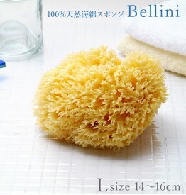 ボディスポンジ Bellini ベリーニ 通販 天然海綿スポンジ 天然海綿 ハニコム種 SA16 L／バックヤードファミリー（BACKYARD FAMILY）