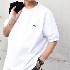 【SHIPS any別注】LACOSTE: ワンポイント ロゴ ピケ クルーネック Tシャツ 24S／シップス エニィ（SHIPS any）