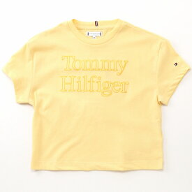 TOMMY HILFIGER STITCH TEE S/S／トミー ヒルフィガー（Tommy Hilfiger）
