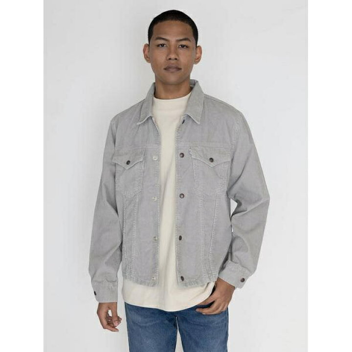楽天市場】SLIM FITSFLINT GRAY ／リーバイス（Levi