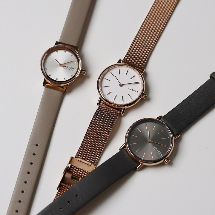 新品/SIGNATUR LILLE】SKAGEN SKW99X0113