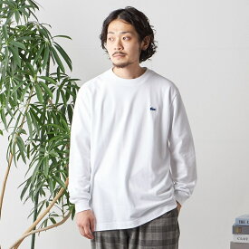 【SHIPS any別注】LACOSTE: ワンポイント ピケ クルーネック Tシャツ (ロンT)◇／シップス エニィ（SHIPS any）