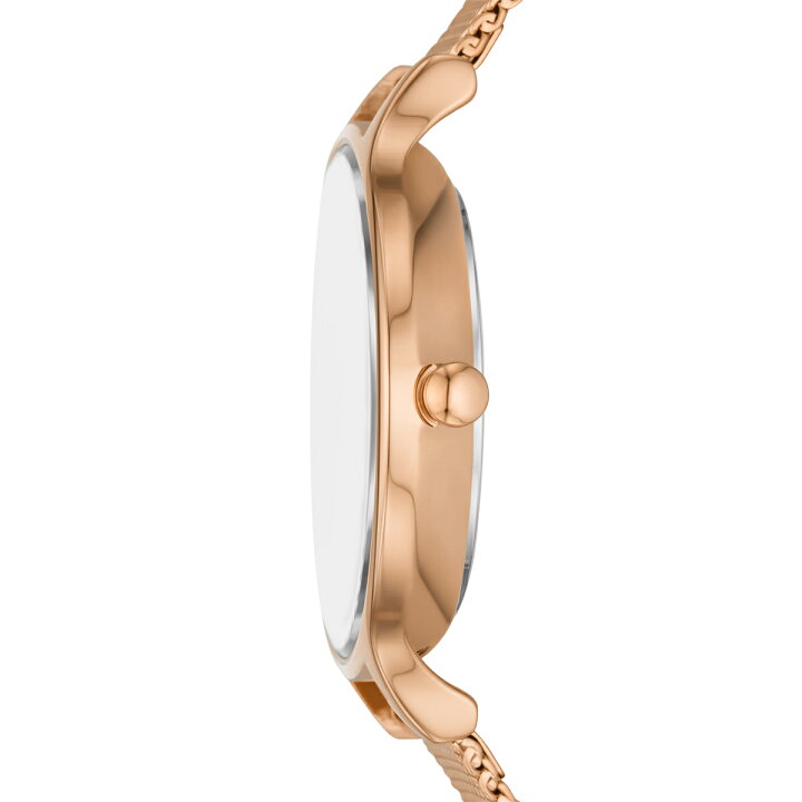 楽天市場】ANITA アニータ SKW3107／スカーゲン（SKAGEN） : 丸井  