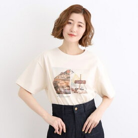 フォトTシャツ／グローブ（grove）