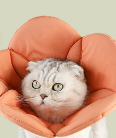 ペット用フェイスガードフラワー／アイモハ（aimoha）