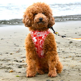 LGE541 アクティブ　サンシェード　タンクトップ 小型犬／ジウォーク（GEWALK）