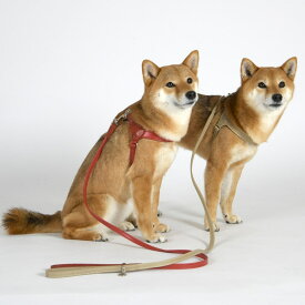 LDV312 マルゴット　ソフト　レザー　リーシュ　110 【M】 イタリアンレザー　リード／ダウィンチ（Da Vinci）