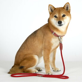 LDV313 ビアンカ　シティー　リーシュ　110 【L】 イタリアンレザー　リード／ダウィンチ（Da Vinci）