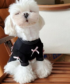 リボン付きブラック　ペットワンピース／アイモハ（aimoha）