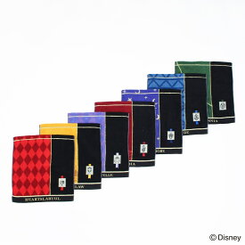 『ディズニー ツイステッドワンダーランド』 ウォッシュタオル／タオル美術館（Towelmuseum）