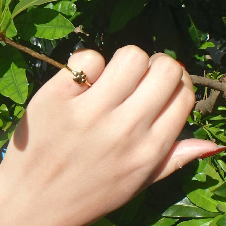 ポンテヴェキオ ピンキーリング 当店一番人気