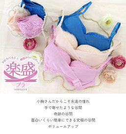 EBT002｜ 楽に盛れる！楽盛ブラ ブラジャー単品 全3色 B-F/65-75／アンテシュクレ（intesucre）