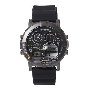 CITIZEN × BEAMS / 別注 ROUND FACE BLACK ANA-DEGI TEM/ビームス(BEAMS)