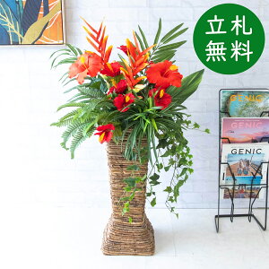  X^h AW H110cm JX J ړ] j  t[  Mtg v[g AWg tFCN X ZW fnEX ze [jD] đyPA172 