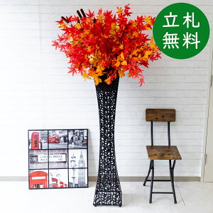  X^h AW H165cm JX J ړ] j  t[  Mtg v[g AWg tFCN X ZW fnEX ze [jD] ^ HyPA402