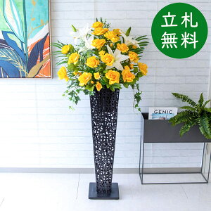  X^h AW H145cm JX J ړ] j  t[  Mtg v[g AWg tFCN X ZW fnEX ze [jD] ^ ʔNyPA439-IR