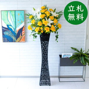  X^h AW H175cm JX J ړ] j  t[  Mtg v[g AWg tFCN X ZW fnEX ze [jD] ^ ʔNyPA439-SQ