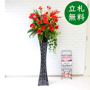  X^h AW H185cm JX J ړ] j  t[  AWg tFCN X ZW fnEX ze [jD] ^ đyPA442-SQIR120 ԃX^