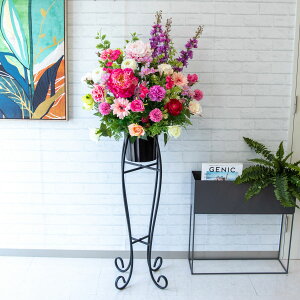  X^h AW H150cm JX J ړ] j  t[  Mtg v[g AWg tFCN X ZW fnEX ze [jD] ^ yPA447-SEN90 